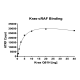Kras Q61H–cRAF Binding Assay Kit